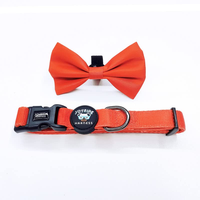 Joyride Harness Dog Collar with Removable Bowtie - Adjustable and Breathable for All Dog Breeds, Strong D-Ring and Heavy Duty Buckle, for Pet Lovers