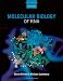 Molecular Biology of RNA