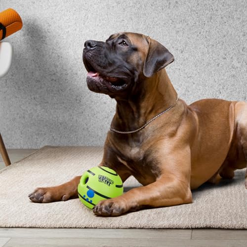 Image of amazon basics Interactive Sound Ball Toy for Dogs and Puppies| Fun Squeaky Sounds | Pet-Safe Materials| Suitable for All Dog Breeds | Size - Large