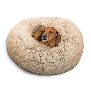 Best-Friends-by-Sheri-The-Original-Calming-Donut-Cat-and-Dog-Bed-in-Shag-Fur-Taupe-Small-23×23