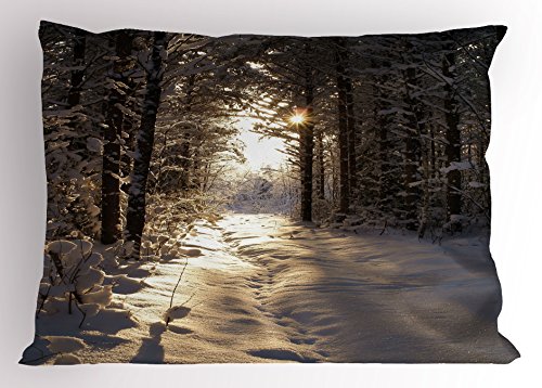 Ambesonne Winter Pillow Sham, Christmas Season with Snow and Forest Sun Rays Very Cold Woods Scenery, Decorative Standard Size Printed Pillowcase, 26