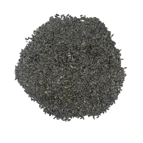 6 Pound Black Oil Sunflower Seeds for Birds – Premium Wildlife Food – Non - GMO -Grown in The USA - Black Oil Sunflower Seeds for Wild Animals and Backyard Feeders