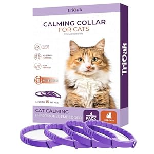 4 Pack Calming Collar for Cats, Cat Calming Collar, Calming Pheromone Collar for Cats, Cat Pheromone Collar, Cat Calming Collar for Anxiety, Efficient Relieve Anxiety Stress