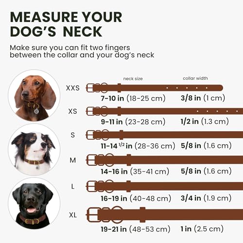 BRONZEDOG Hundehalsband aus gerolltem Leder mit QR-ID-Tag, verstellbar, weiche runde Halsbänder für kleine, mittelgroße und große Hunde, Welpen, Katzen (Cognacbraun, 23-28 cm)