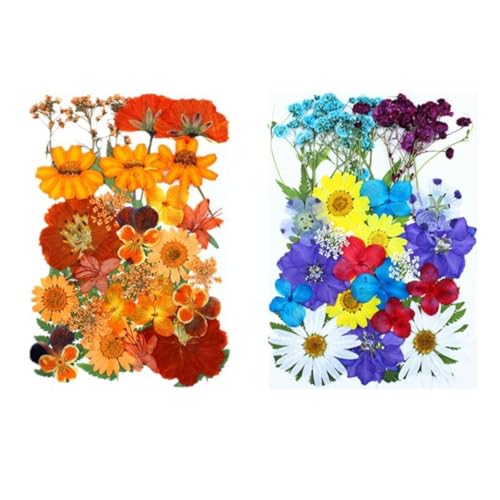 140 unidades flores prensadas naturales para manualidades miniatura 5
