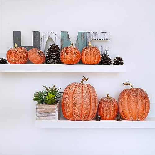 Image of Winlyn 7 Pcs Assorted Orange and Black Artificial Pumpkins Harvest Decorative Pumpkins for Rustic Farmhouse Fall Wedding Thanksgiving Halloween Table Centerpiece Mantel Shelf Seasonal Decor