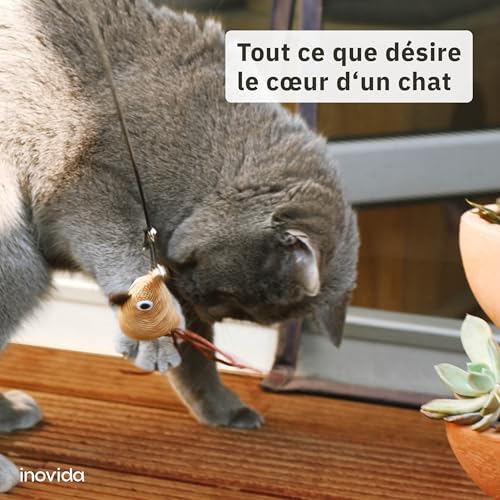 Set de Jouets pour Chat : XL 15 Pièces avec Herbe à Chat – Jouet Interactif et Vegan avec Plumes – Jouets Colorés avec Menthe, Souris – Kit de Jouets pour Chaton – Image 6