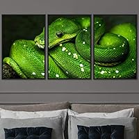3 Piece Framed Canvas Wall Art Snakes Canvas Prints Home Artwork Decoration for Living Room,Bedroom - 16