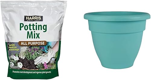 Harris Mezcla de tierra para macetas multiusos prémium con fundición de gusanos y otros nutrientes 4 cuartos de galón y maceta de plástico caribeño