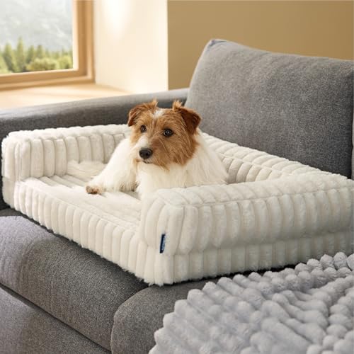 BEDSURE orthopädisches Hundebett für mittelgroße Hunde - 76x51x16.5cm wasserdichtes Hundesofa mit Memory-Schaum & Eierkarton-Schaum, waschbarer und Abnehmbarer Cordbezug Hundecouch, Creme