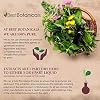 Best Botanicals Apricot Seed 16 oz.