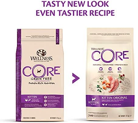 wellness core kitten