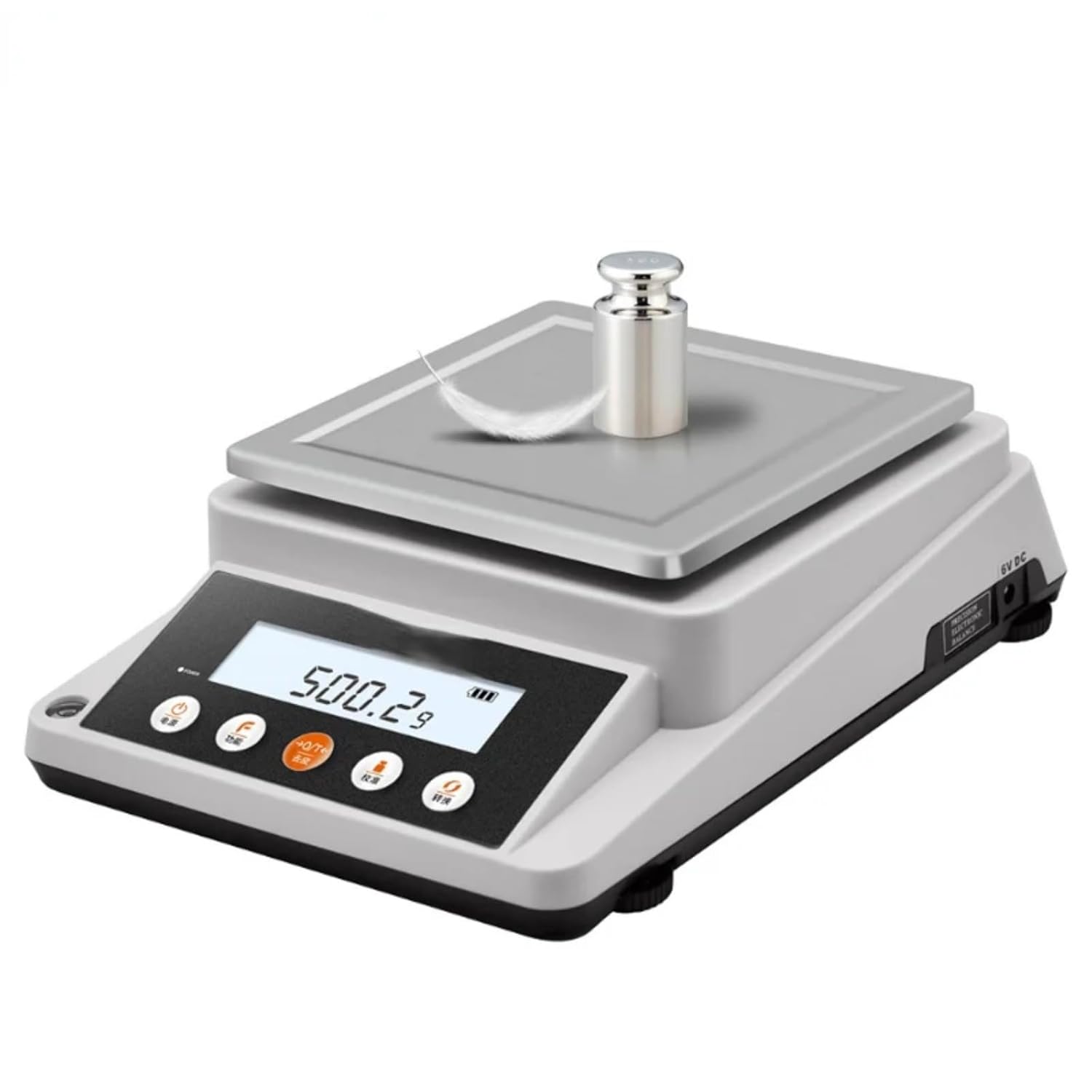 GOYOJO Precision Balance weighing a small weight and feather