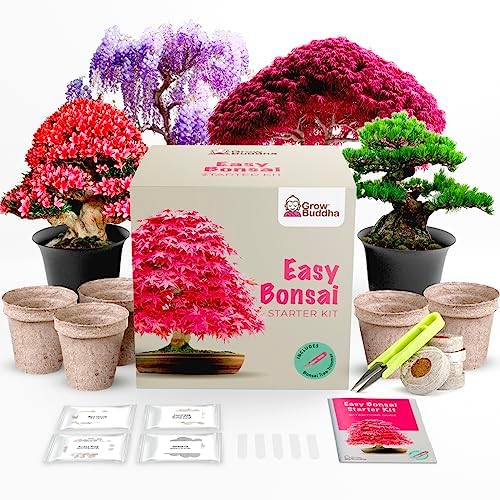 Grow Your Own Bonsai Tree kit | Easily Grow 4 Types of Bonsai Tree with Our Complete Beginner Friendly Bonsai Starter kit | Bonzai Tree | Christmas Gift Set for Plant Lovers (Bonsai Kit)