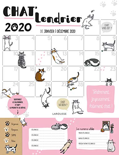 Télécharger Chat'lendrier 2020 PDF Ebook En Ligne