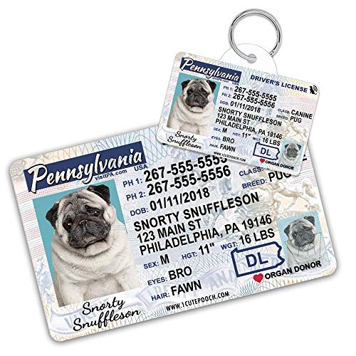 dog id license