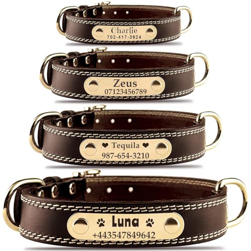 Personalisiertes Hundehalsband - Individuelles Hundehalsband aus Leder mit gravierbarem Namensschild. Robustes Namensschildhalsband, Bequeme ID-Halsb&auml;nder f&uuml;r kleine, mittelgro&szlig;e und gro&szlig;e Hunde