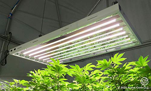 Active Grow T5 High Output 4Ft Led Grow Light Bulb - Plant Grow Lights For Indoor Plants, Veg, Bloom, Greens & Microgreens - 24W - Sun White Full Spectrum High Cri 95 - Direct Replacement - 4-Pack #TOP3
