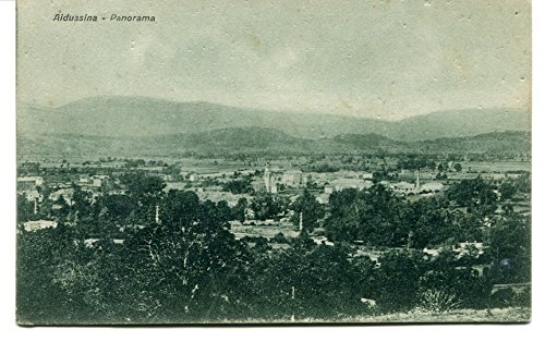 1931 Aidussina Panorama Guller gorizia destinazione Lucca FP B/N VG Cartolina Postale