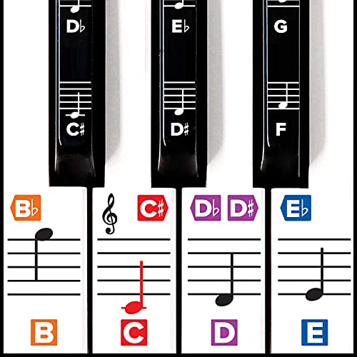 Color Piano Stickers w/Complete Notes on Grand Staff for 49/61 / 76/88 Keyboards