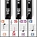 Color Piano Stickers w/Complete Notes on Grand Staff for 49/61 / 76/88 Keyboards