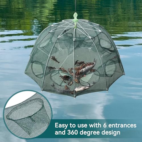 Foto von Cyrank 6 Loch Elritzenfallen Für Köderfische, Gefaltet Fischernetz, Fischernetzfalle Mit Zusammenklappbarem Wurfnetz, Langustenfalle Köder Zum Fangen Kleiner Köderfische Aale Krabbenhummer Elritzen