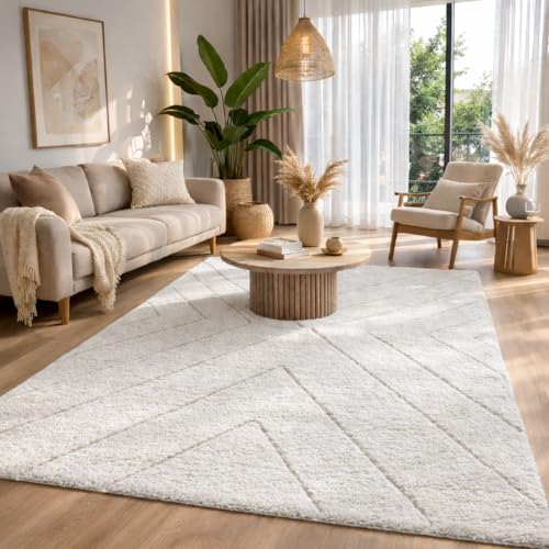 the carpet Bahar Shaggy Tapis de Salon élégant et Design à Poils Longs, Doux et Facile...