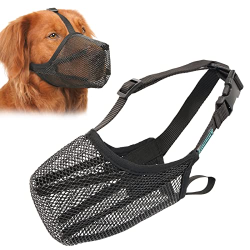 Top 10 Best Basket Muzzle For Dogs Reviews & Buying Guide Katynel