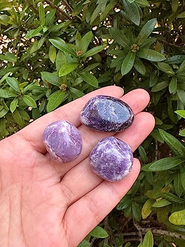 Image of GAF TREASURES 1 /2 LB Lepidolite Tumbled Stones, Polished Lepidolite Gemstone, Lepidolite Healing Crystals (Lepidolite)