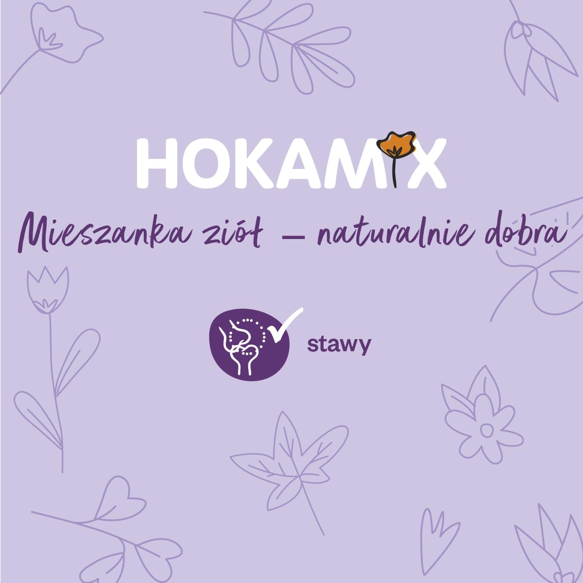 szary | Hokamix30 przeguby + proszek | 1,5 kg