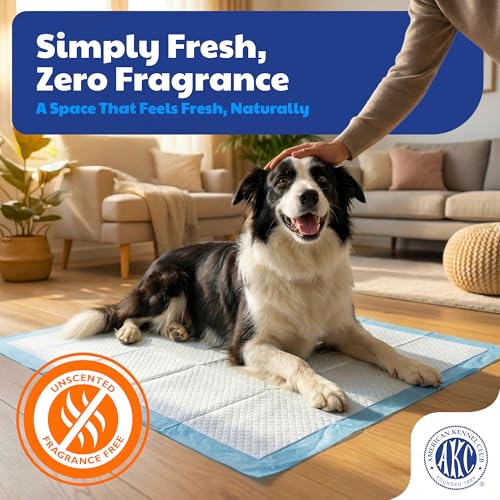 Image of American Kennel Club Puppy Training Pads with Ultra Absorbent Quick Dry Gel - 28 x 30 Pee Pads for Dogs - 50 Count , XL(Unscented)