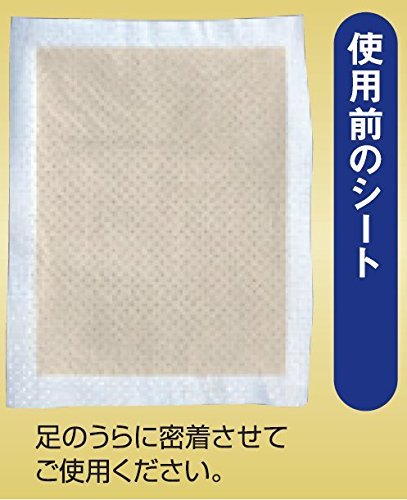 Amazon.co.jp: レミントン ビサ入り足うらシート 30枚（約15回分 