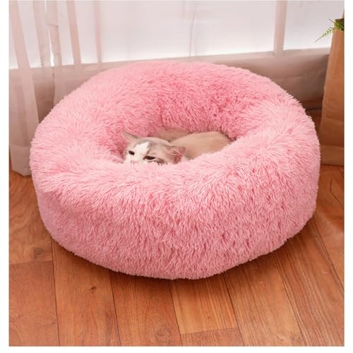 L xbh  xbh h[ic^ ӂӂ ybgxbh 􂦂 Jo[O\ ~ ~p g ۉ h NbV ^ Lp ybgpi (sN, XXL)