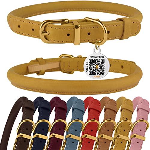 The 11 Best Rolled Leather Dog Collars Of 2023 Popular Picks In
