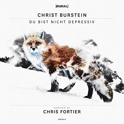 Christ Burstein