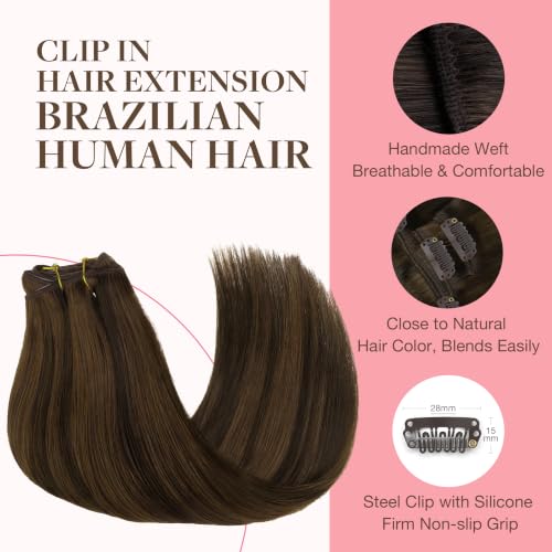 Image of GOO GOO Clip in Hair Extensions Real Human Hair, Remy Human Hair Extensions Clip ins for Women, Natural Human Hair, 14inch 120g 7Pcs, 2C /4E /6C Brown Sugar Swirl Highlights