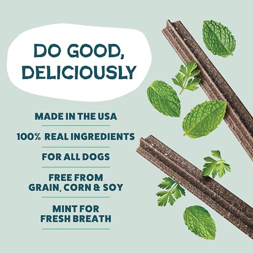 Image of Shameless Pets Triple Mint Dental Chews for Dogs, 8 Chews - Natural Dog Teeth Cleaning Treats with Fresh Breath Benefits | Grain-Free Dental Sticks for Small, Medium & Large Dogs