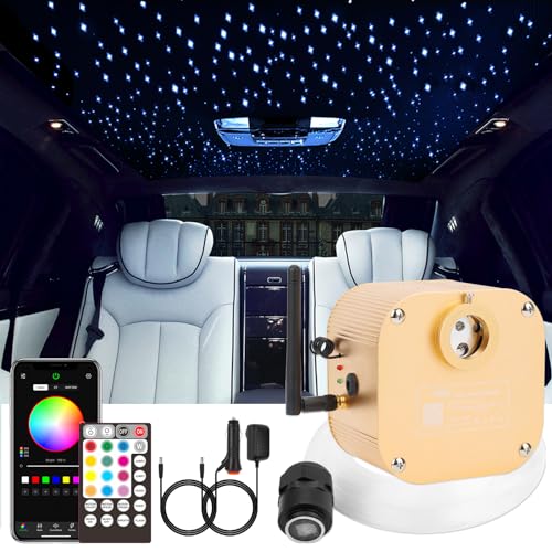 CHINLY Starlight Headliner Kit Twinkle, 16W 550pcs 13.1ft 0.03in Star Lights for Car, Fiber Optic Ceiling Light, RGBW LED Bluetooth APP+Remote+Star Light Headliner Kit for Home Theater