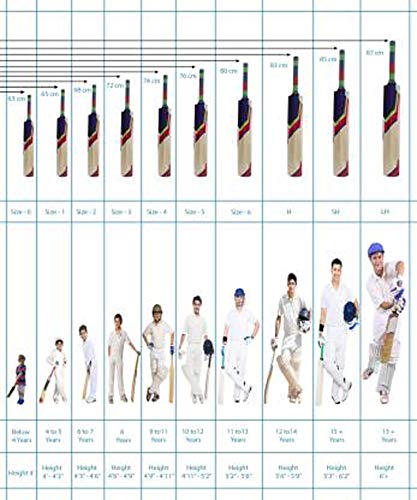 Image of VICTORY Thunder-2 Hard Plastic /PVC Cricket BAT (Size -6)