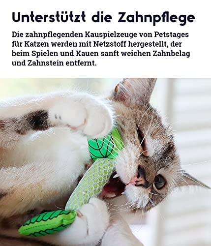 Petstages Fresh Breath Mint Stick - Zahnpflege-Kauspielzeug für Katzen - mit Minze