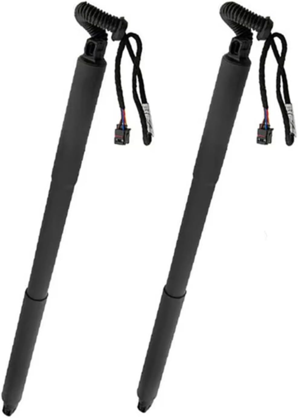 タイトリスト スコッティキャメロン ファントムX 6 センターシャフト35