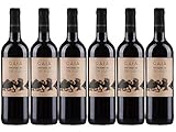 VINO ECOLÓGICO GAIA 2018- CABERNET SAUVIGNON-SYRAH- VINO ECOLÓGICO - PACK 6 BOTELLA