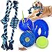 Yipetor Juguete para Perros, masticación Activa, Juego de Correas de Goma no tóxicas para Perros, Pelota para Perros, Regalo de Limpieza de Dientes para Perros medianos y Grandes, 6 Piezas