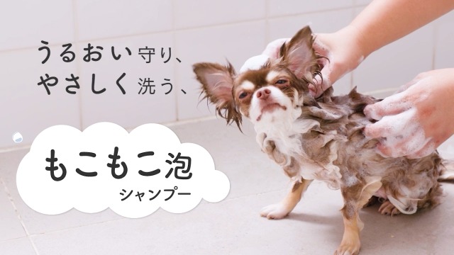 Amazon | 【国産×オーガニック】ロアペット ペット用シャンプー 低刺激