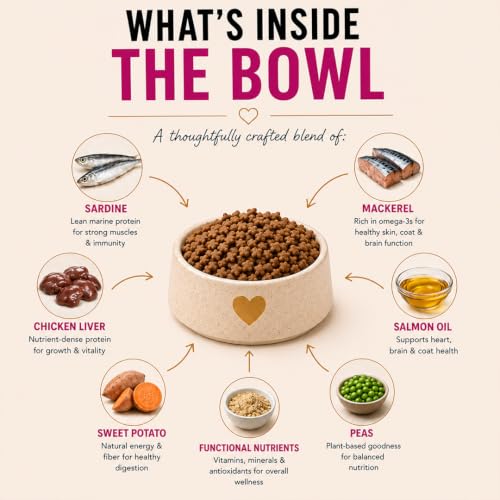 Grain Zero Kitten Dry Cat Food 7kg - Image 4