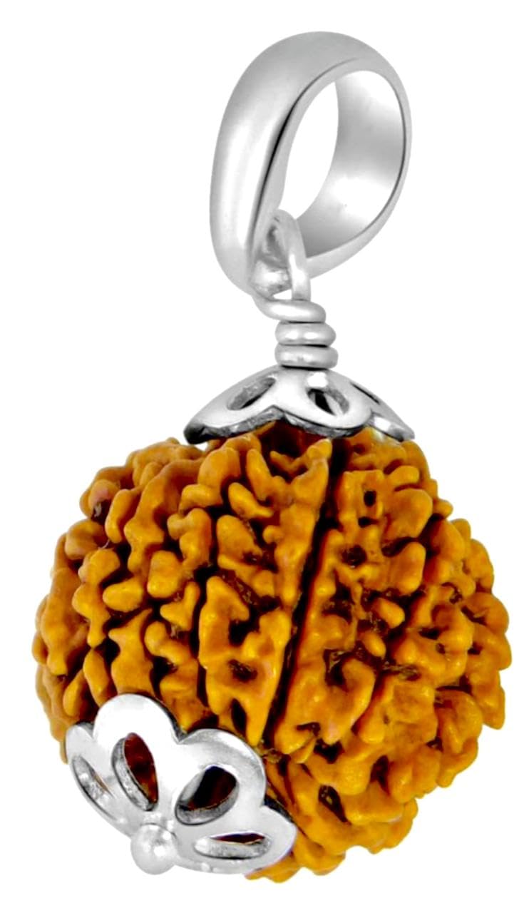 GenericOriginal Certified Thirteen Faced 13 Mukhi Rudraksha 925 Sterling Silver Pendant Nepali Meditation Bead Locket Silk Dori...