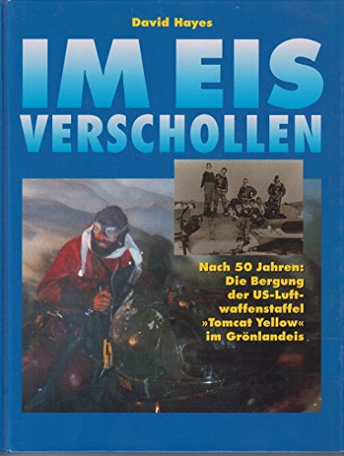 Im Eis verschollen. Nach 50 Jahren: Die Bergung der US-Luftwaffenstaffel Tomcat Yellow im Grönlande