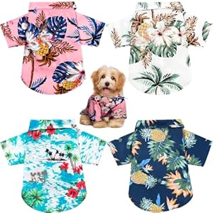 Weewooday 4 Pieces Small Pet Summer...