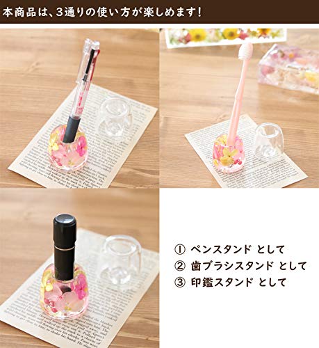 Amazon｜アクリル 歯ブラシスタンド 5点セット レジンクラフト用 本体