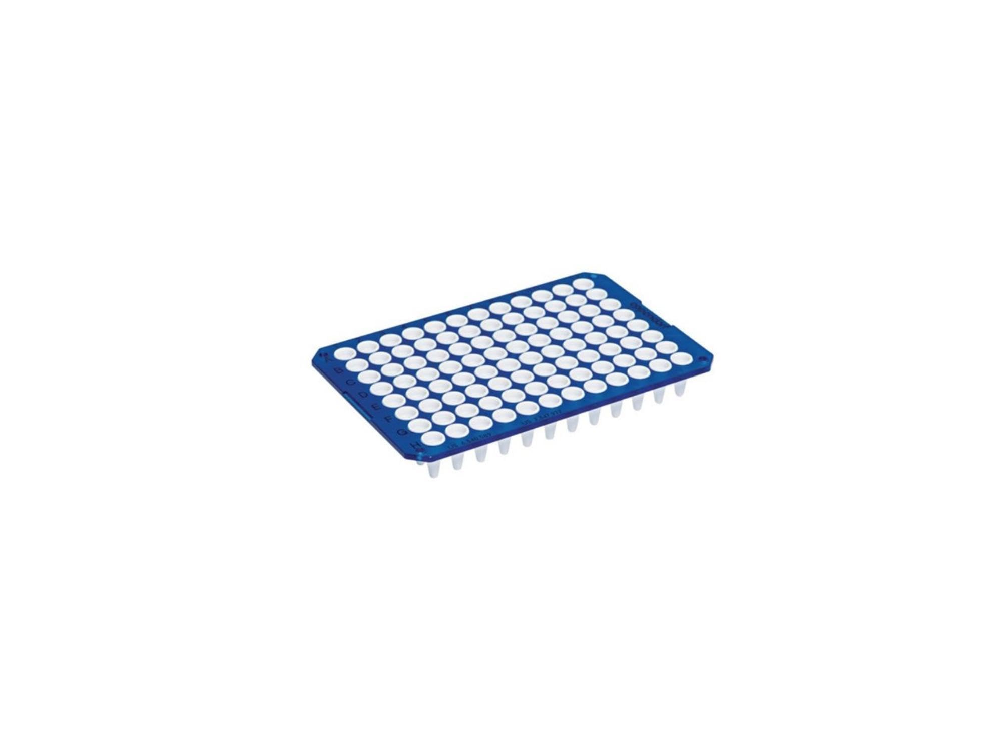 Eppendorf twin.tec Real-Time PCR-Reinigungsplatte, 96 Plätze, Niedriges Profil, Ungesäumt, 150µL Kapazität, Blau, 20 Stück